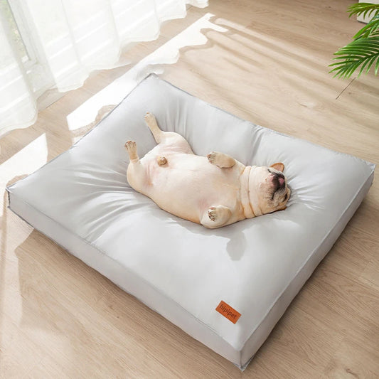Cuccia Letto Materasso Impermeabile per Cani